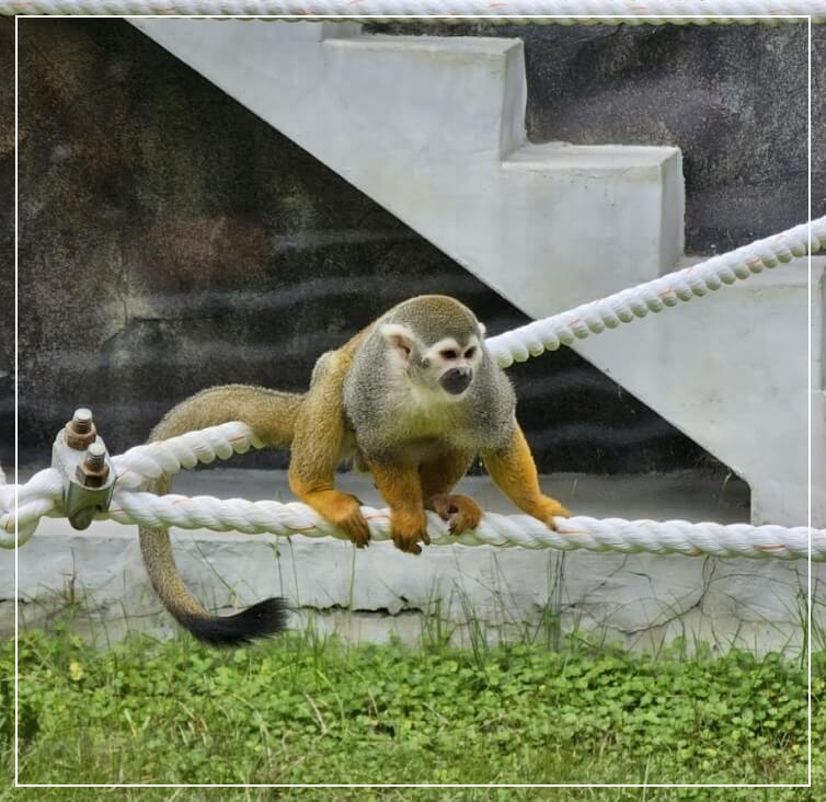 광주 가볼만한곳 베스트10 우치공원