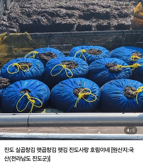 진도-접도-물김