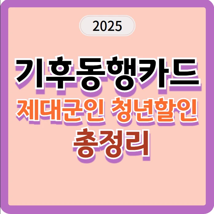 2025년 기후동행카드 제대군인 청년할인 연장 꿀팁! 온라인 신청으로 간편하게