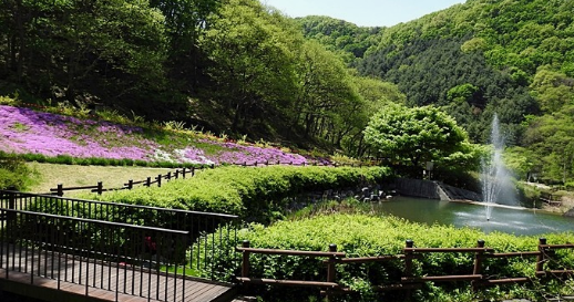 율곡 수목원