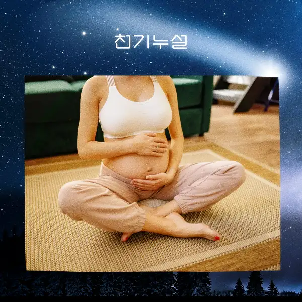 임신하는 꿈 해몽