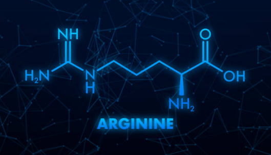 아르기닌 부작용, 아르기닌의 효능, 복용법 총정리 (2024ver)