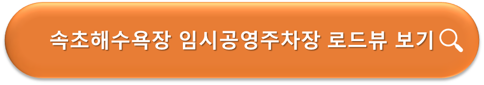 속초해수욕장 임시공영주차장 로드뷰