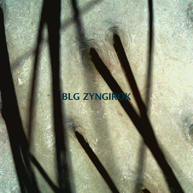 피나모아 복용 12주차 두피 사진 - 정수리 위치 모습이다.