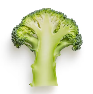 지방간에 좋은 음식 10 영양제 식단