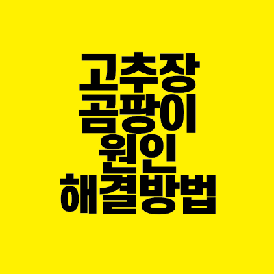 썸네일-고추장-곰팡이-원인-해결방법