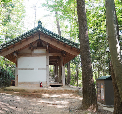 6시 내고향 강진맛집 석문정