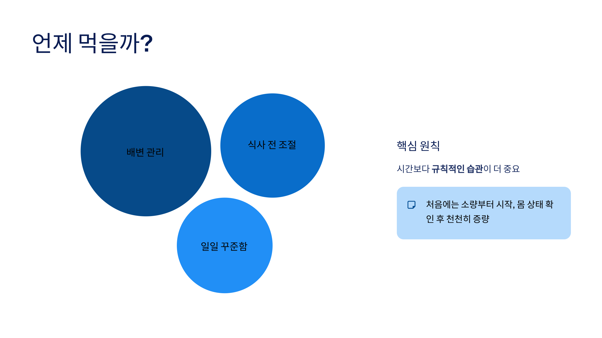 차전자피의 효능 차전자피 먹는법