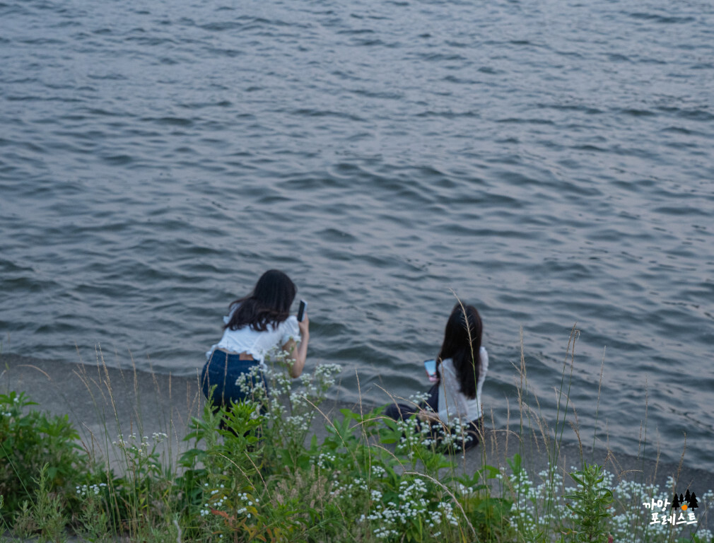 노들섬 인생샷