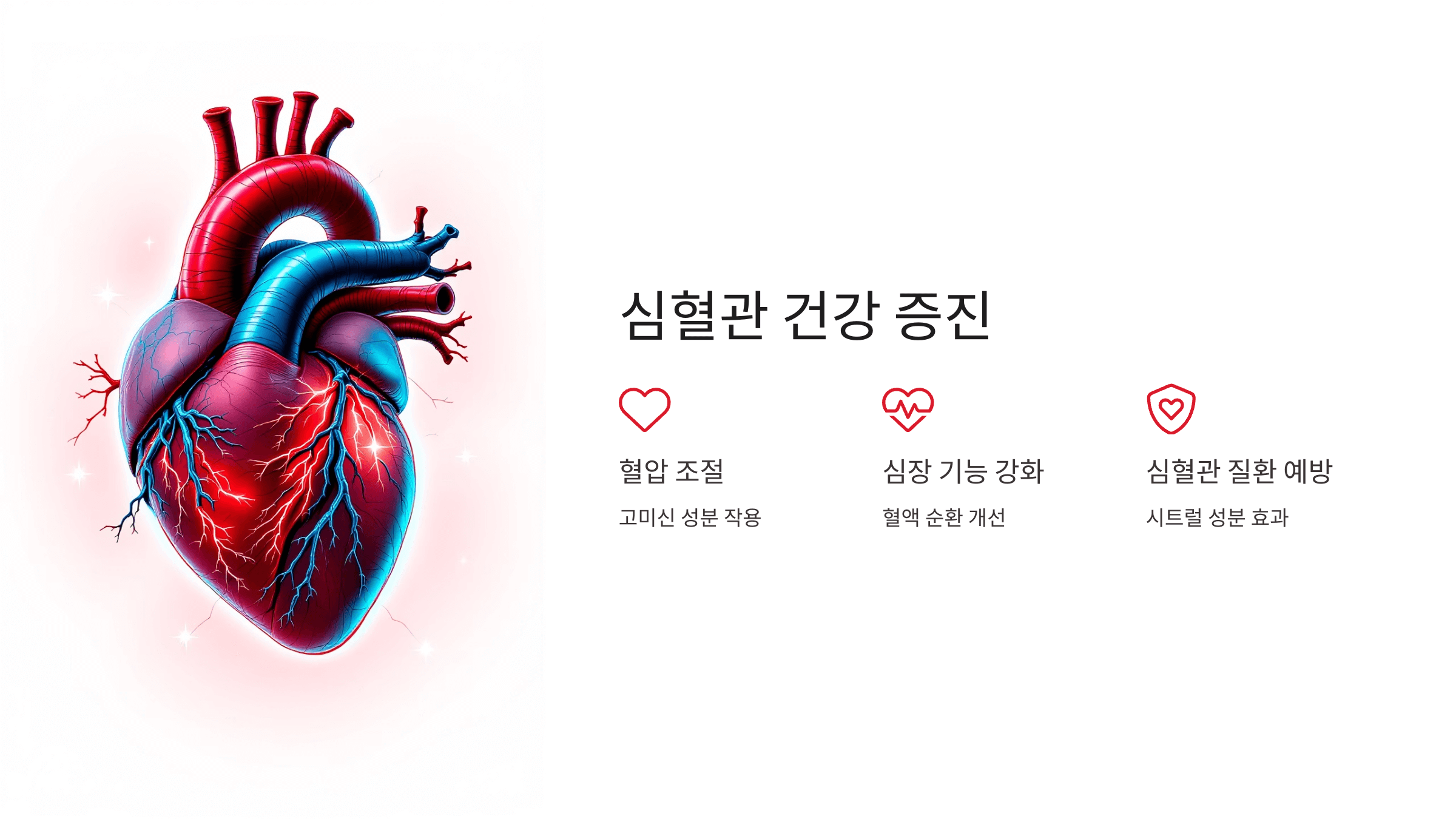 오미자 사진입니다.