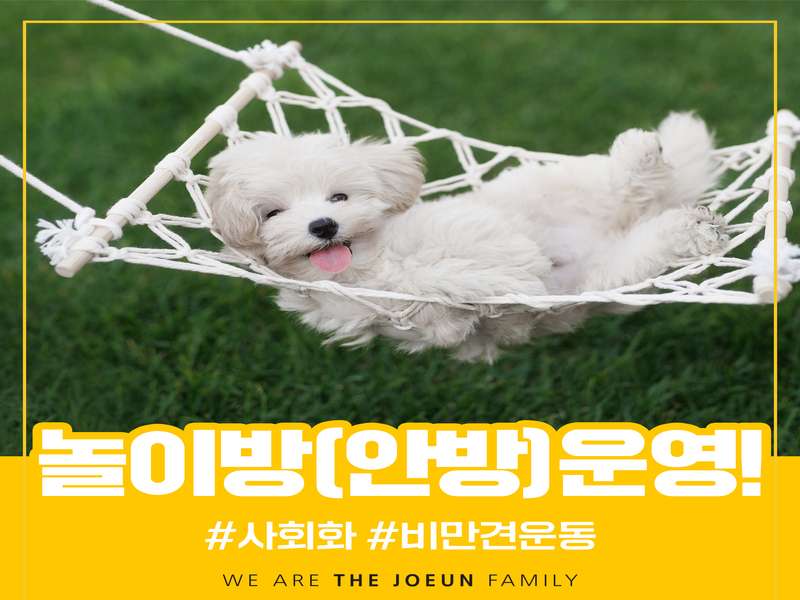 4.1 미용 서비스