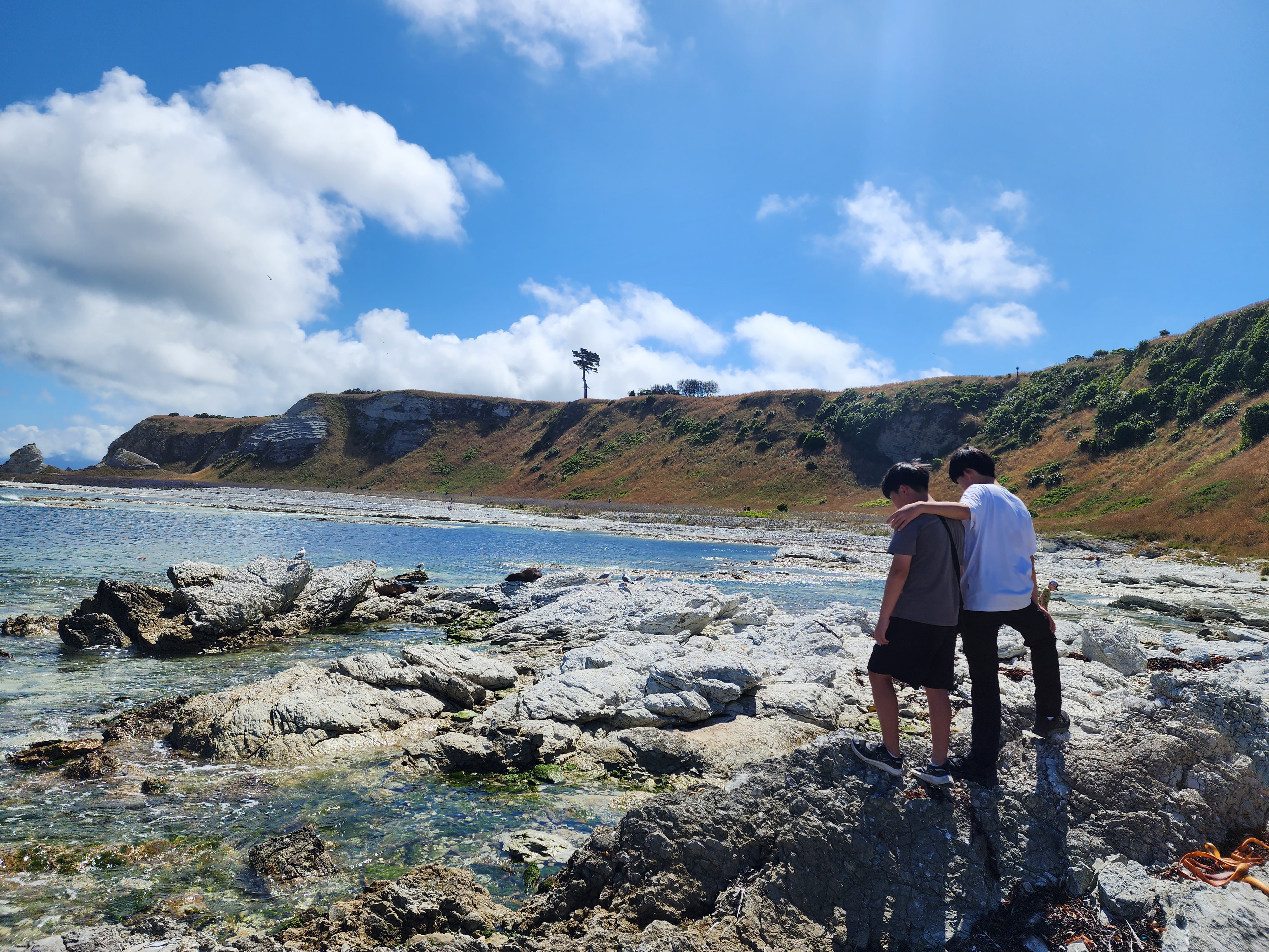 Kaikoura Peninsula Walkway