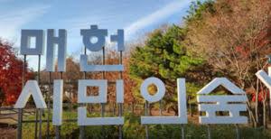 서울 가을단풍 명소 베스트 가을여행 추천