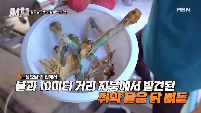 써치 8년간 천여마리 죽인 대전 신탄진 고양이 살해남의 정체