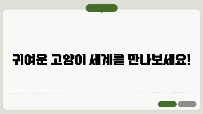 고양이 종류 품종 41종 종결 : 사진으로 쉽게 고양이 이름 특징 성격 알아보기
