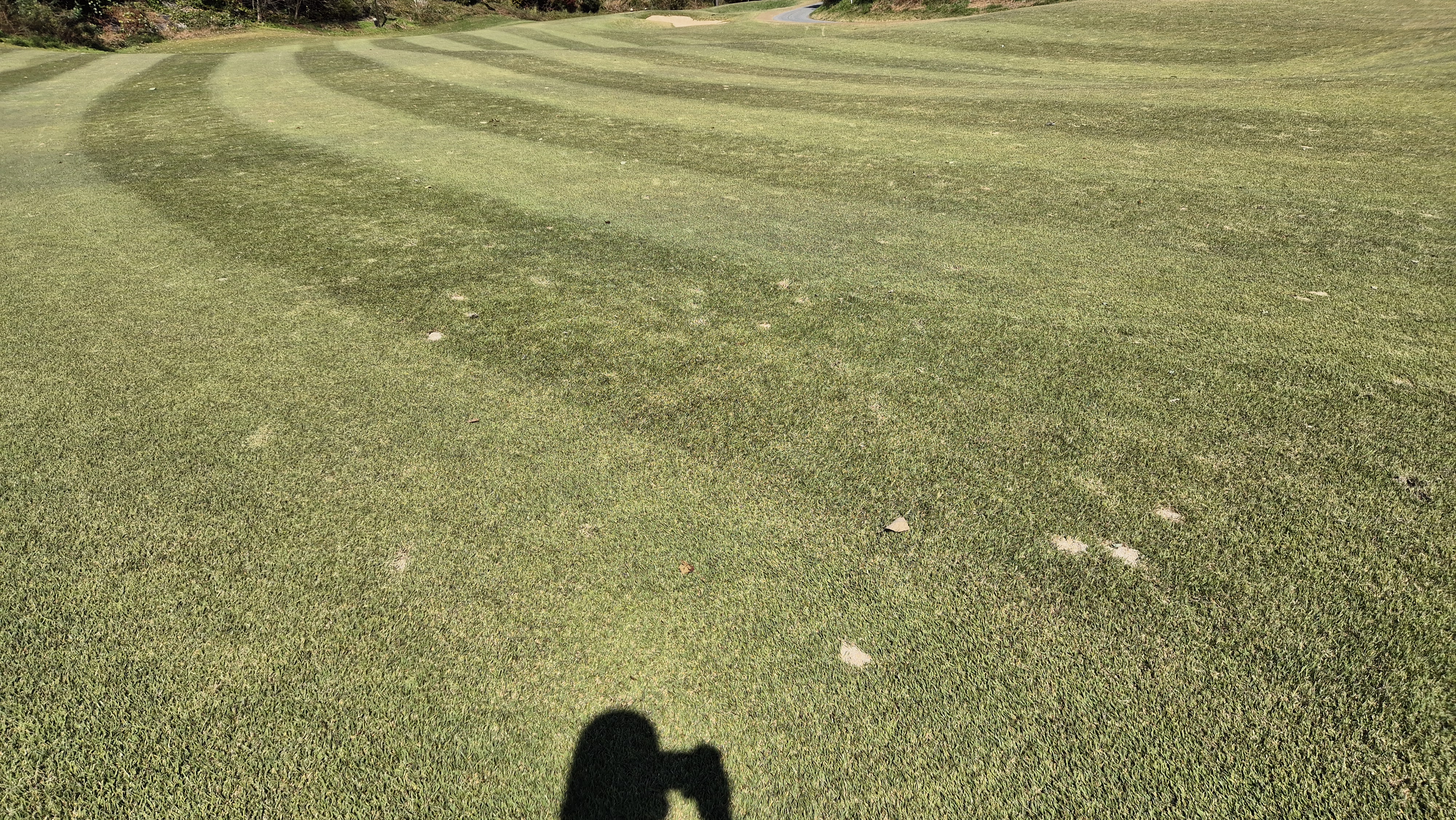 동촌gc 코스 관리 상태