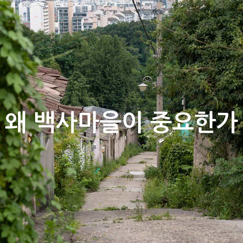 서울 백사마을 재개발