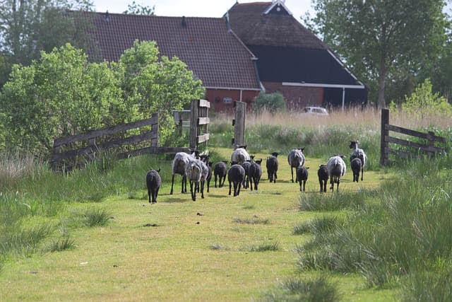 중앙 유럽 전통 농가의 겸용 구조와 자급자족 시스템