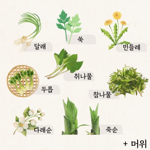 환절기 봄철 건광관리