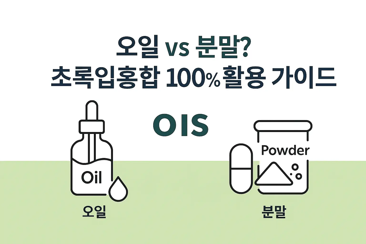 오일 vs 분말? 초록입 홍합 100% 활용가이드