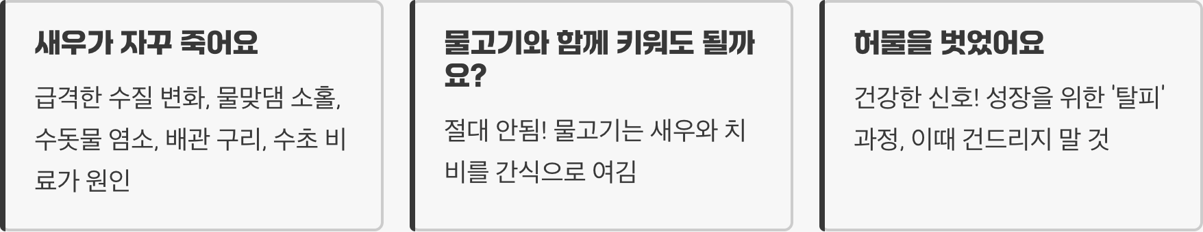 CRS새우 키우기 A to Z (어항, 소일, 수질 관리)