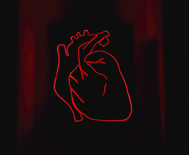 퀴노아 효능 : 심장