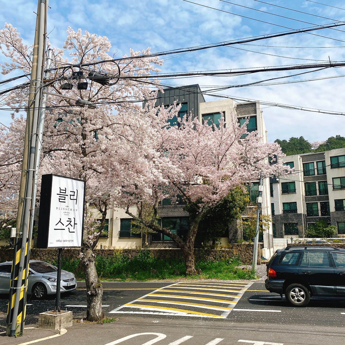 제주 정실마을 월정사 브런치 맛집 블리스찬 카페