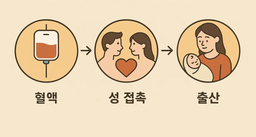 B형간염 보균자 전염