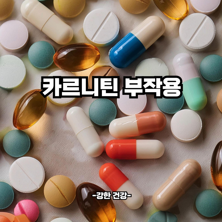 카르니틴 부작용