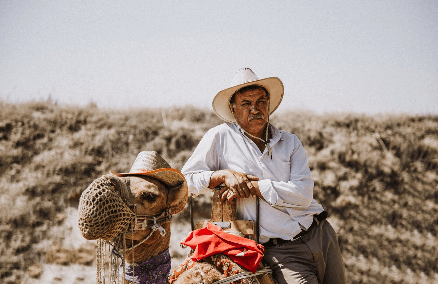 노령연금 수급자격 재산