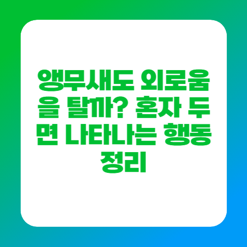 앵무새도 외로움을 탈까 혼자 두면 나타나는 행동 정리