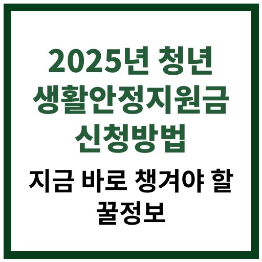 2025년 청년 생활안정지원금 신청절차 요약 이미지