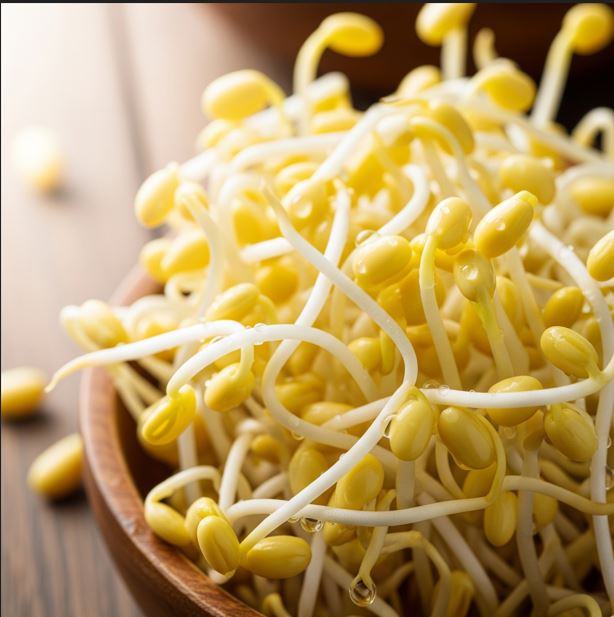 콩나물