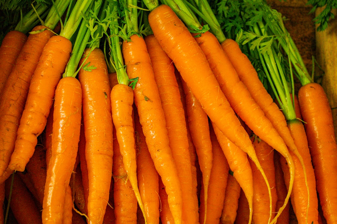 Carrot