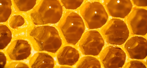 프로폴리스 이미지