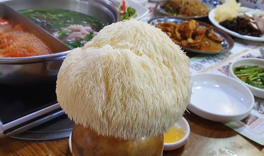 노루궁뎅이버섯