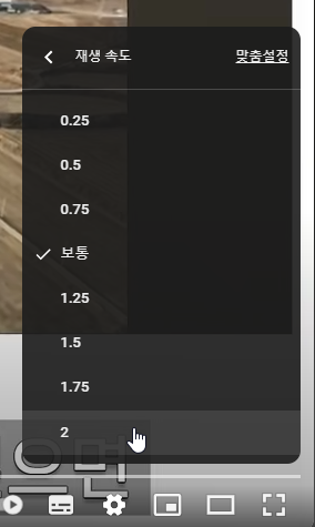 재생속도 2