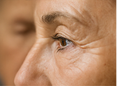 콘드로이친 효능