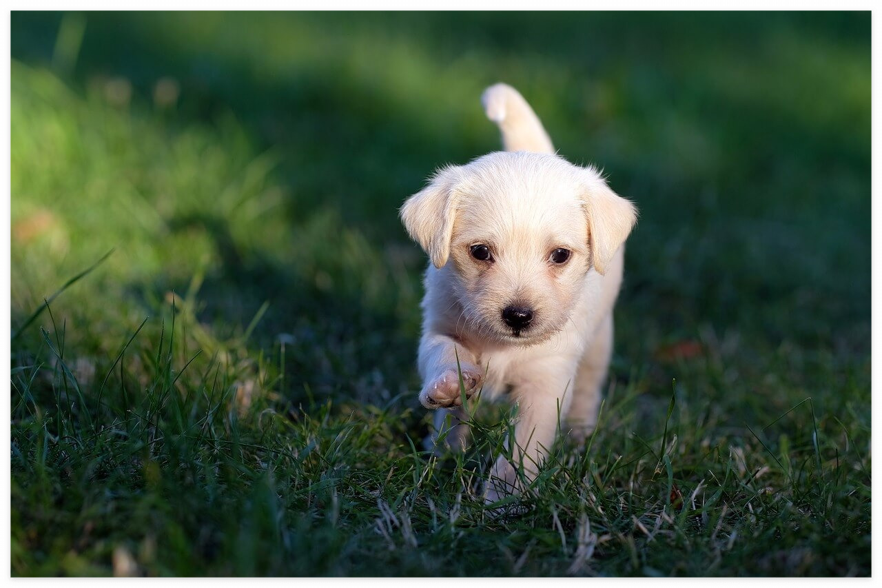 법인 사업자 발급 여부 안내