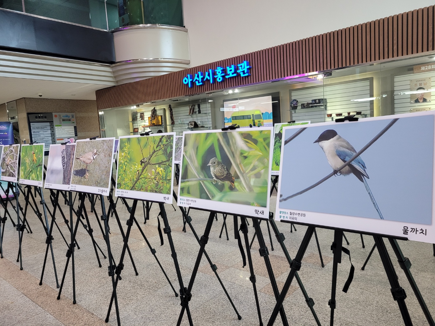 아산시탐조단 사진전 마무리
