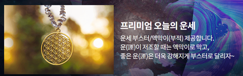 2025년 무료신년운세 (+토정비결&amp;#44;재물운&amp;#44;연애운&amp;#44;취업운 모두 보기)