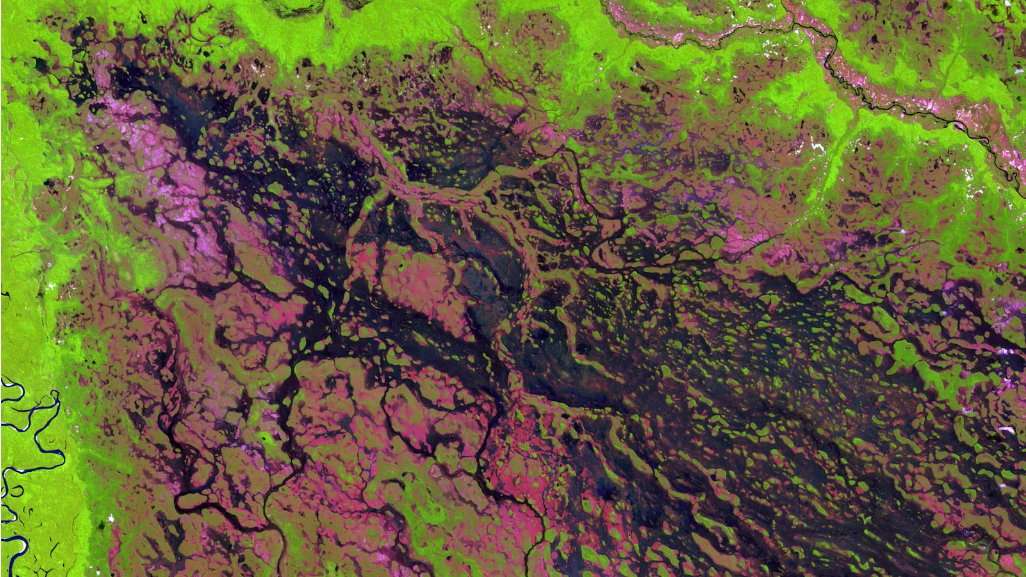 환경정보의 중요성