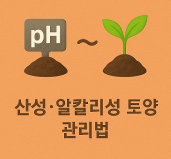 흙의 pH와 식물 성장: 산성&middot;알칼리성 토양 관리법 사진