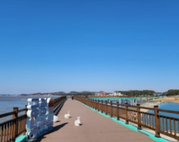 강아지랑 제부도 여행