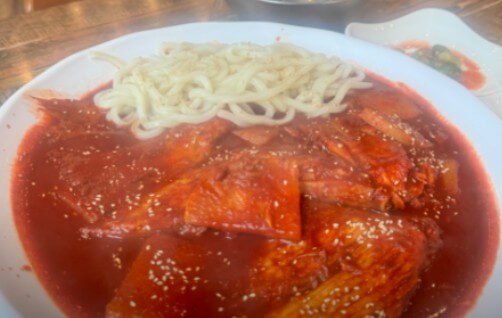 오늘N식규멘터리