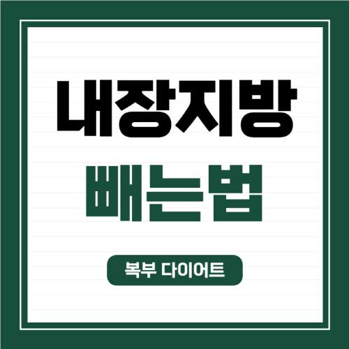 내장지방-빼는법