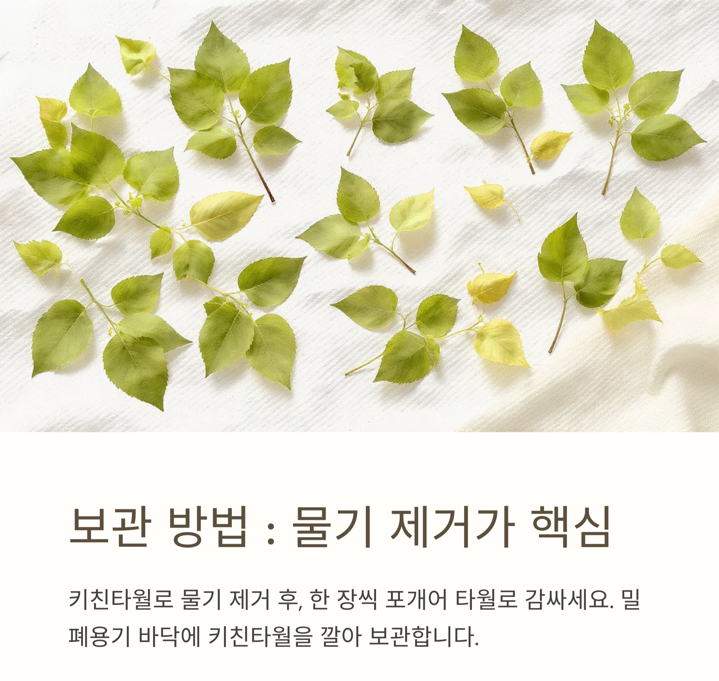 깻잎에 남은 이물질까지 말끔하게! 초보도 쉽게 하는 세척법