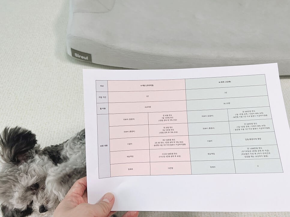 펫보험 비교