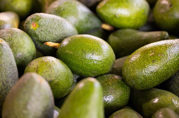 개복숭아효소의 효능 한눈에 보기 18