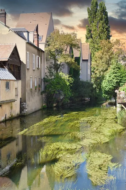 장 폴 사르트르 명언과 실존주의 철학으로 바라본 자유와 책임_6
